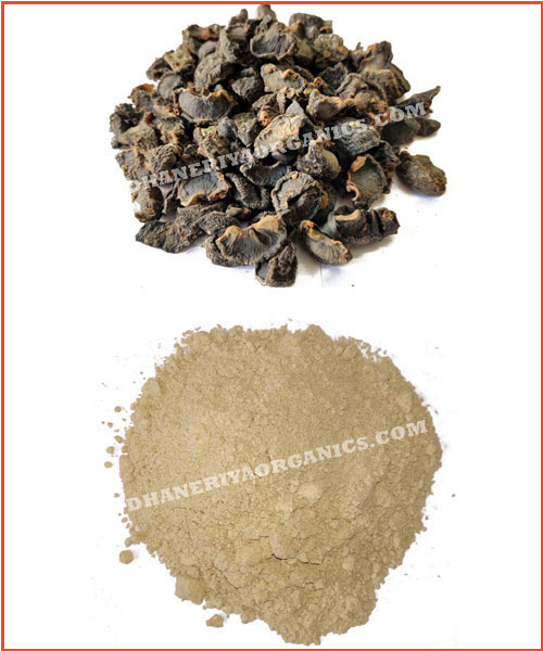 Amla Powder